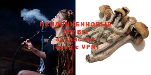 гашик Богданович