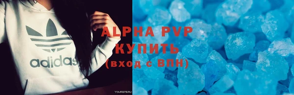 гашик Богданович
