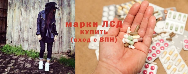гашик Богданович