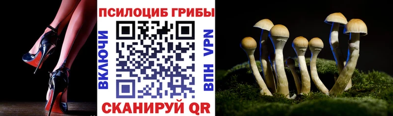 купить закладку Болхов Галлюциногенные грибы Cubensis